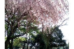 Image073.jpg