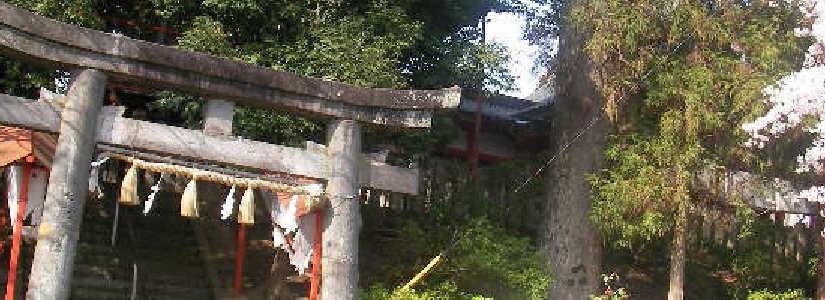 SANY0001.JPG